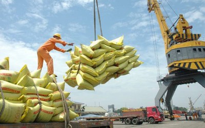 Một năm biến động của "đại gia" ngành gạo Angimex