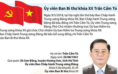 [Infographics] Ủy viên Ban Bí thư khóa XII Trần Cẩm Tú