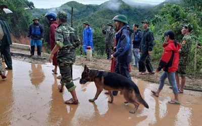 Sạt lở vùi lấp 22 chiến sỹ: Huy động chó nghiệp vụ tìm kiếm