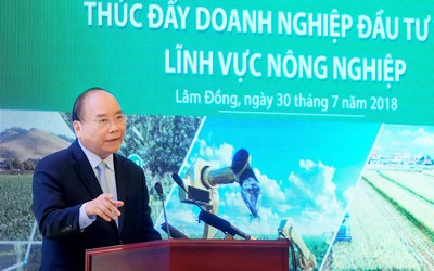 Thủ tướng yêu cầu xử lý nghiêm hành vi làm “nông sản bẩn”