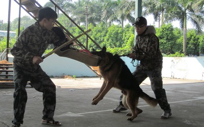 Năm Mậu Tuất, “đột nhập” trung tâm huấn luyện “tên lửa có răng”