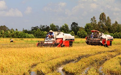 Hưng Yên: Điều tra việc các chủ máy gặt bị côn đồ đánh ‘dằn mặt’, đe dọa