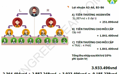 Cảnh báo hệ thống bán hàng đa cấp Lá Xanh của Trung Quốc hoạt động không phép