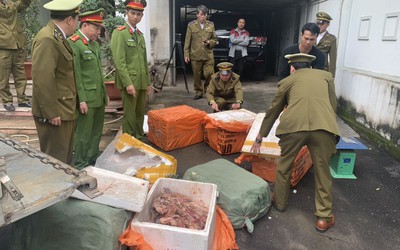 Liên tiếp thu giữ thịt lợn không rõ nguồn gốc dịp giáp Tết