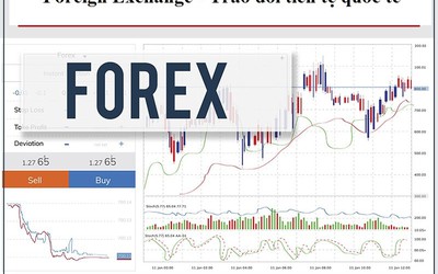 Công an TP. Hà Nội vạch trần thủ đoạn của sàn giao dịch Forex