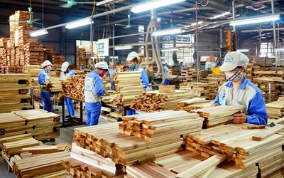 Kiến nghị "gỡ khó" về hoàn thuế VAT cho doanh nghiệp gỗ