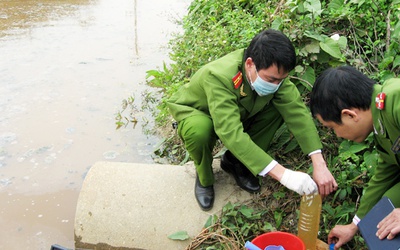 Mua tin trong xử phạt vi phạm hành chính tối đa 50 triệu đồng/vụ việc