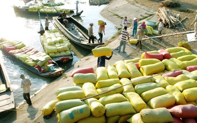 Gạo lậu trà trộn, “tung hoành” các tỉnh ĐBSCL, cần biện pháp ngăn chặn