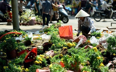 Thuận mua vừa bán, sao lại chỉ trích người mua hoa ngày 30 Tết?