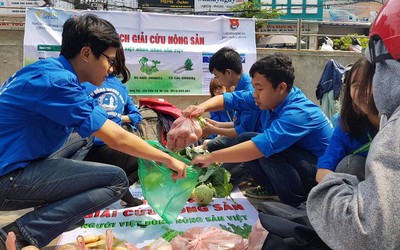 Hà Nội: Sinh viên chung tay "giải cứu" hàng tấn nông sản