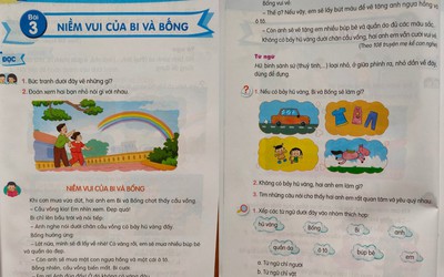 SGK nhà xuất bản Giáo dục Việt Nam: Dạy học sinh cứ thấy vàng là lấy?