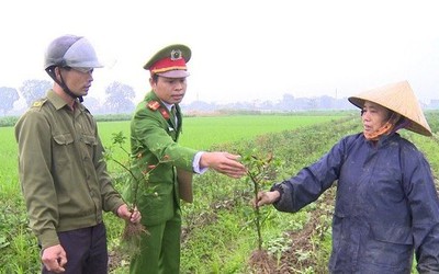 Thanh Hóa: Công an vào cuộc điều tra vụ ruộng ớt 4 sào nghi bị kẻ xấu phá hoại