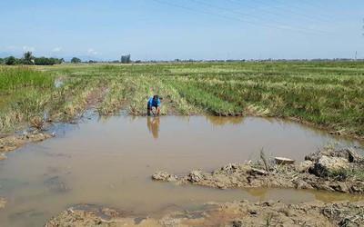 Rơi xuống hố công trình, cháu bé 9 tuổi đi bắt ốc chết đuối thương tâm