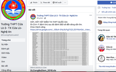 Nghệ An: Kỷ luật Phó phòng Khảo thí làm lộ dữ liệu điểm thi THPT Quốc gia 2018