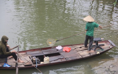 Cá chép ông Công ông Táo vừa thả, người chích điện đã chờ sẵn