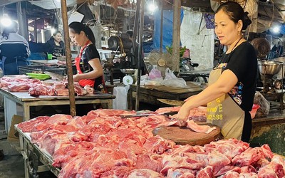 Nghệ An: Giá thịt lợn hơi xuống thấp, sức tiêu thụ chậm