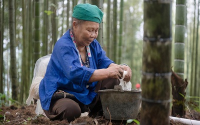 Bí kíp khiến cụ bà sống trường thọ dù bị ung thư gan