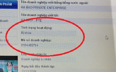 Vụ Hà Bảo kiện OGC: Phòng Đăng ký kinh doanh có làm trái quy định?