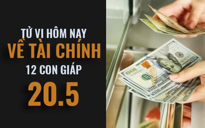 Tài chính, tình yêu ngày 20/5/2019 của 12 con giáp: Tuổi Tỵ có nhiều ý tưởng hay ho