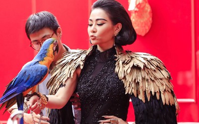 Thu Minh gây tranh cãi khi tự nhận mình là "Diva"