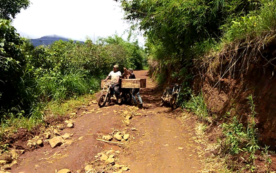 Gia Lai: Làm rõ vụ vận chuyển lâm sản trái phép tại huyện Mang Yang