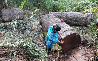 Kon Tum: Lật xe chở gỗ, một người đàn ông tử vong