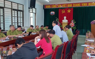 Tây Nguyên đứng trước nỗi lo khô hạn, cháy rừng