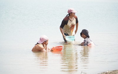 Mùa hến về trên Tây Nguyên