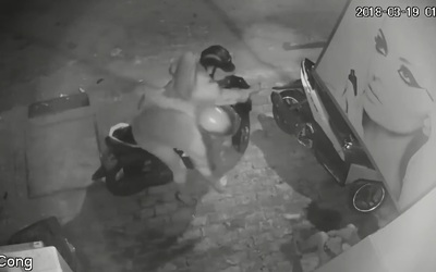 Clip: Hai thanh niên táo tợn cướp chó ngay trước mặt chủ nhà