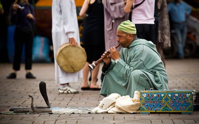 Clip: Độc đáo màn 'thôi miên rắn' ở chợ trời Morocco