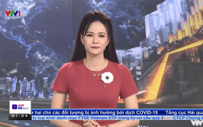 Clip: VTV lên tiếng xin lỗi vì nói người bán hàng rong là "sống ký sinh trùng"