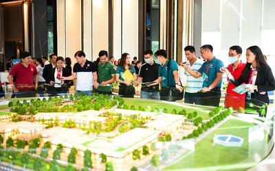 Từ năm 2025, môi giới bất động sản không được hành nghề tự do