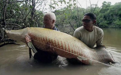 Người đàn ông câu được cá hải tượng long nặng 113kg trên sông Amazon