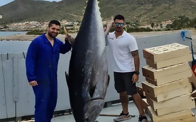 Nhóm ngư dân bắt được cá ngừ khổng lồ dài 3 mét, nặng 304kg trên biển