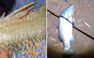 Clip: Nam thanh niên câu được con cá trị giá hơn 25 tỷ đồng