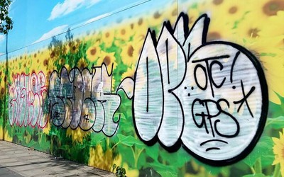 TP.HCM: Graffiti nửa mùa tràn lan gây mất mỹ quan đô thị