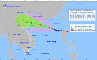 Thủ tướng chỉ đạo tập trung ứng phó với bão số 1