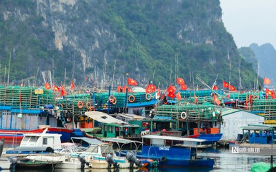 Quyết tâm gỡ "thẻ vàng" IUU tại đợt thanh tra lần thứ 4 của EC