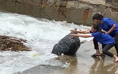 Đề nghị thu hồi giấy phép kinh doanh quán cà phê Heaven vì nhân viên ném rác xuống biển Vũng Tàu