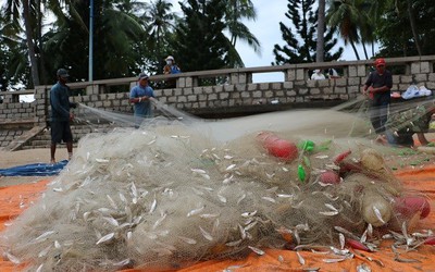 Ngư dân Vũng Tàu phấn khởi "rủ lưới nhặt cá" sau vài giờ ra biển