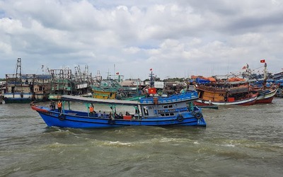 Đề xuất xử phạt nhà cung cấp thiết bị giám sát tàu cá không chất lượng