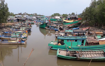 Cà Mau: 21 tàu cá rã xác, chìm không trục vớt bị xoá đăng ký