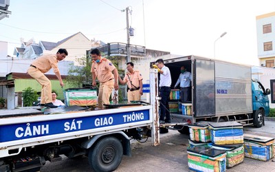 Bạc Liêu: Phát hiện gần 600kg tôm chứa tạp chất trên đường đi tiêu thụ