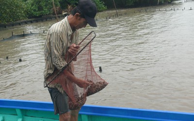 Cà Mau: "Sò tặc" lộng hành, người dân điêu đứng