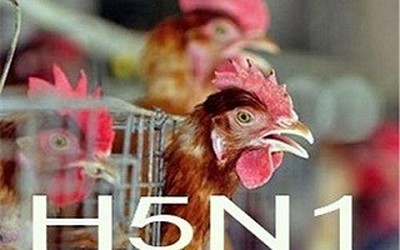 Cà Mau: Phát hiện bệnh nhân nghi nhiễm cúm A H5N1