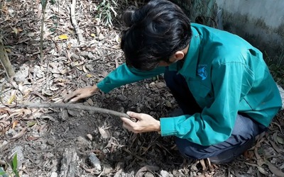 Vụ hơn 300 thai nhi chôn ở nhà máy rác TP.Cà Mau: Giám định mẫu vật bên trong các hũ sành