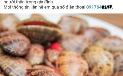 Sở NN&PTNT Cà Mau thông tin việc kiểm tra vụ "ăn sò lụa đỏ tử vong"