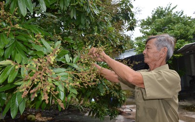 Hành trình chinh phục thiên nhiên của lão nông đưa trái ngọt về rừng U Minh, làm du lịch như chuyên gia