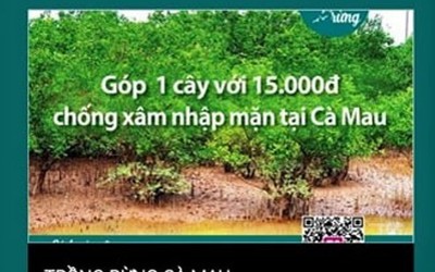 “Hỏa tốc” xác minh việc vận động trồng rừng tại vườn Quốc gia Mũi Cà Mau