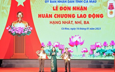 Phó Chủ tịch nước dự họp mặt kỷ niệm 93 năm thành lập Đảng tại Cà Mau